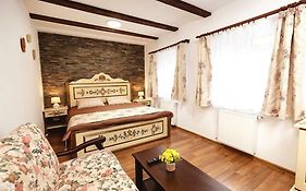 The Transylvanian Apartment - Near Bridge Oflies